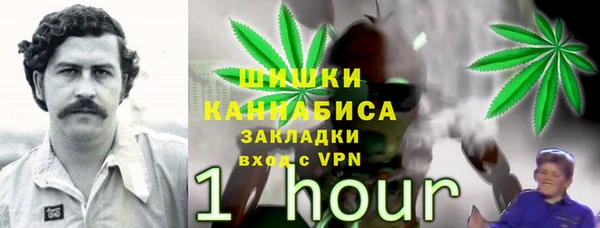 амф Надым