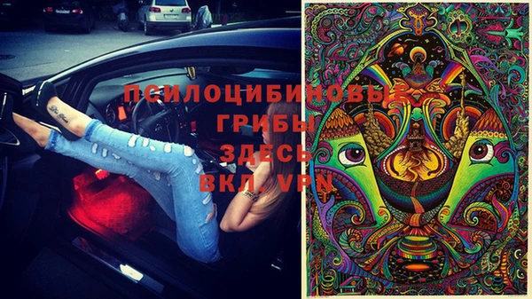 гидра Абинск