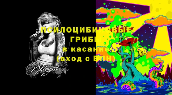 стаф Нея