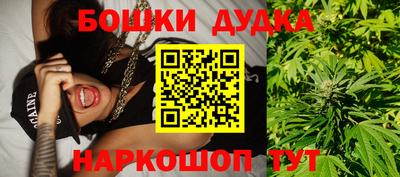 тгк Бийск
