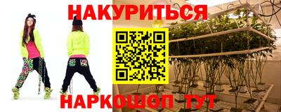 тгк Бийск
