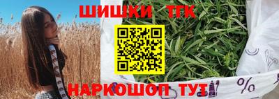 тгк Бийск