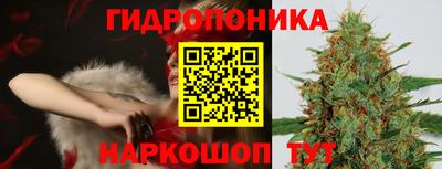 мяу мяу мука Беслан