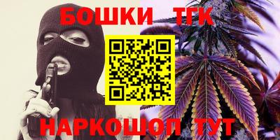 тгк Бийск