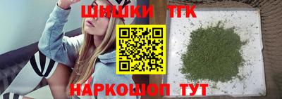 тгк Бийск