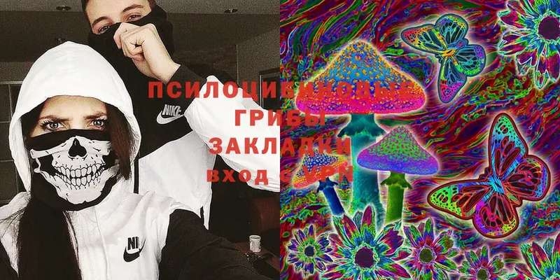 Псилоцибиновые грибы Cubensis  Пермь 