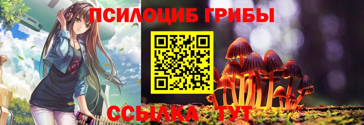 Галлюциногенные грибы MAGIC MUSHROOMS  Вход с VPN  Пермь 